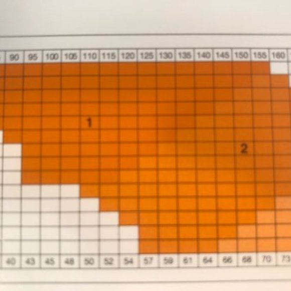 HUE Gotta Have It: Black with White Tights - Picture 4 of 5